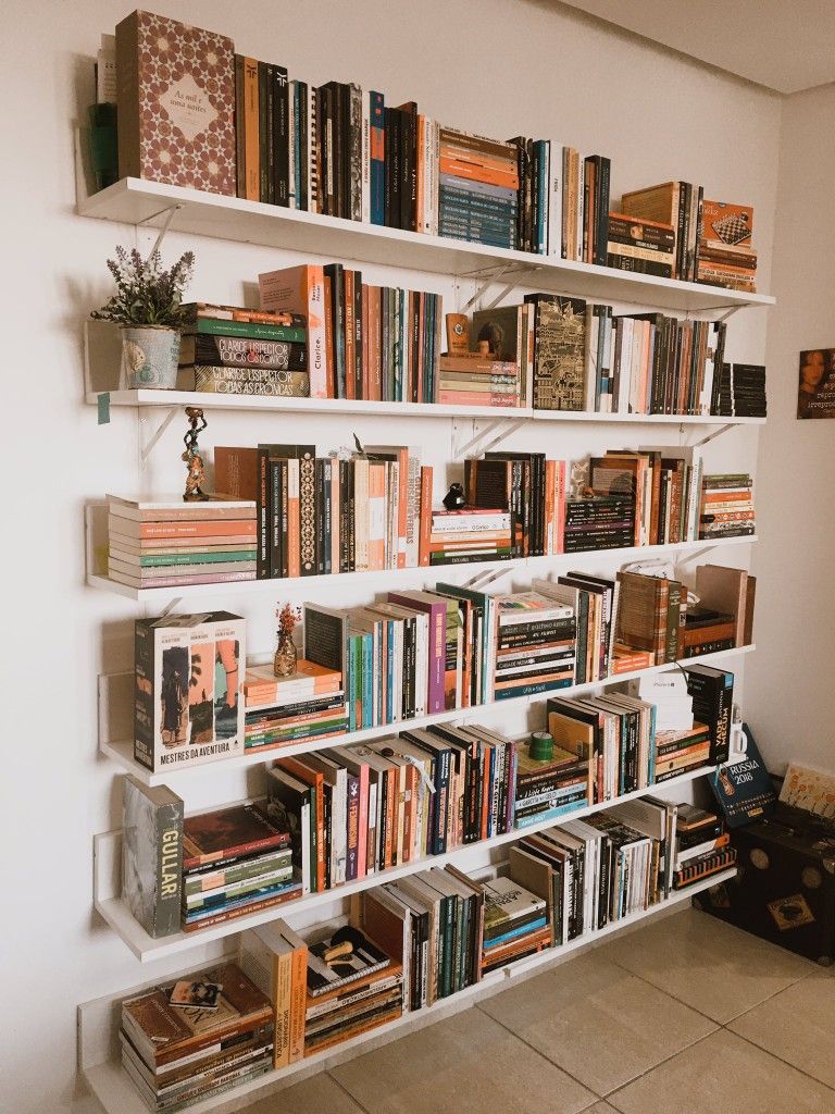 Bookshelf Wealth Aesthetic: Crafting Stories in Style